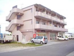 【女性限定】石垣市　八島町　1DK　メゾン八島