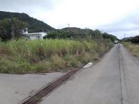 石垣市平久保平野「売り土地」