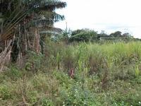 石垣市平久保平野「売り土地」