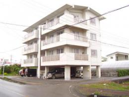 石垣市　登野城3LDK　マンション真茶福茶