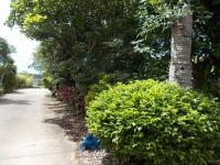 中心市街地より車で25分圏内の住宅付農地物件