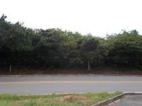 石垣伊原間玉取﨑展望台近く売地